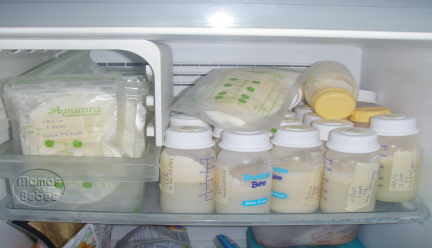 Resultado de imagen de leche materna conservación